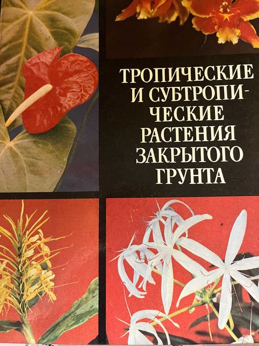 Тропические и субтропические растения закрытого грунта.