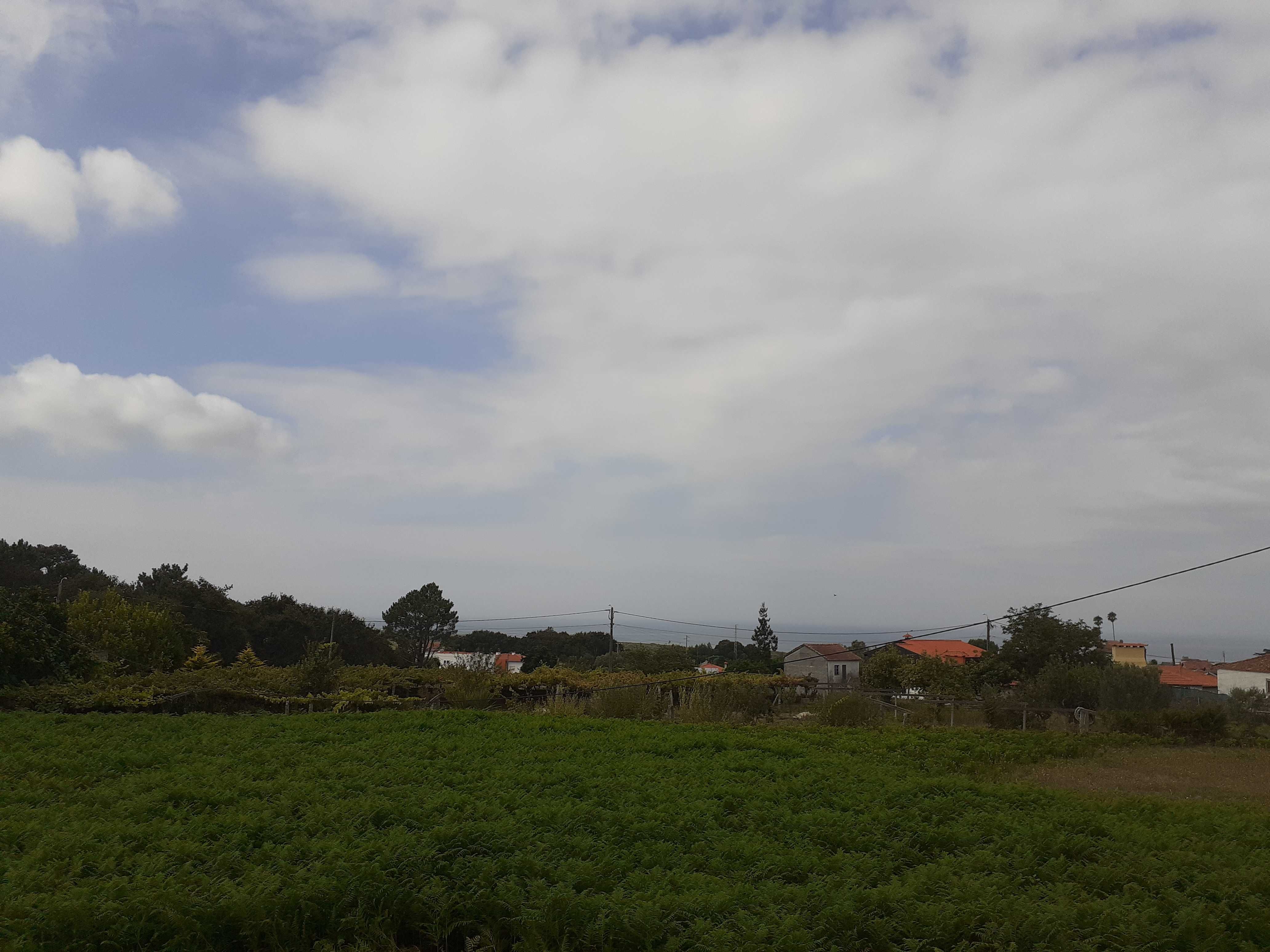 Vendo Terreno - Afife com 1900 m2 Soalheiro vista mar.