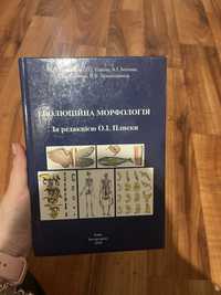 Лебединець Н.В. Еволюційна морфологія