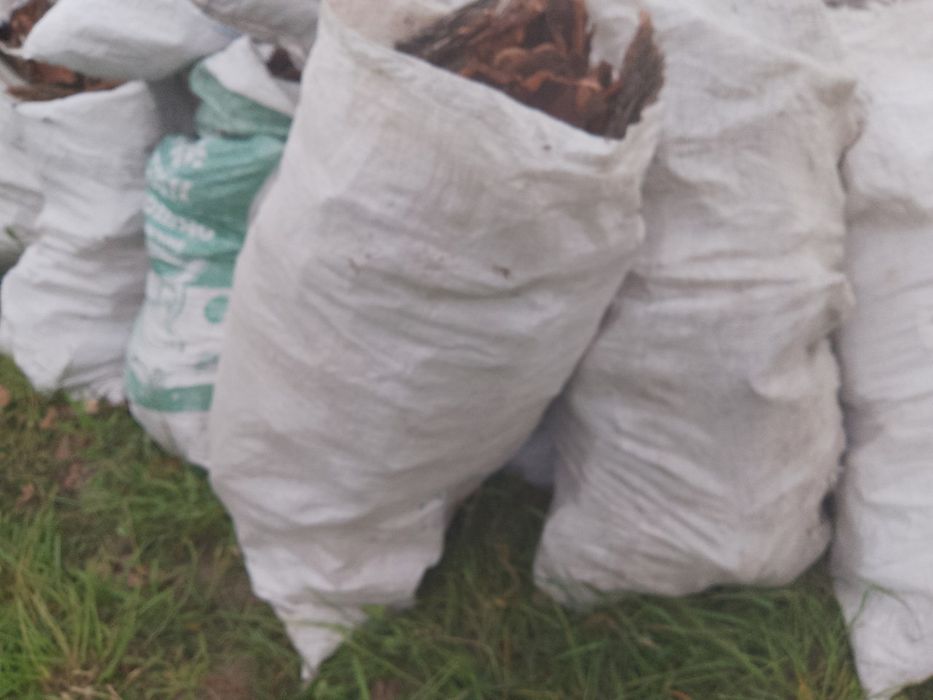 Продам соснову кору