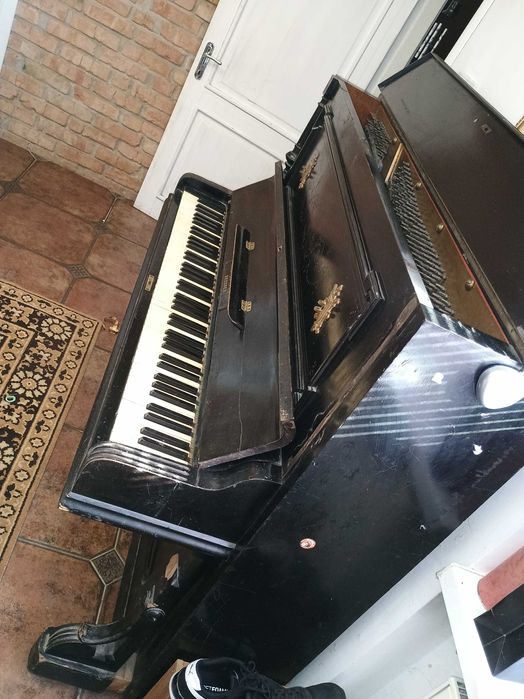 Безкоштовно Gustav Rösler. Самовивіз.