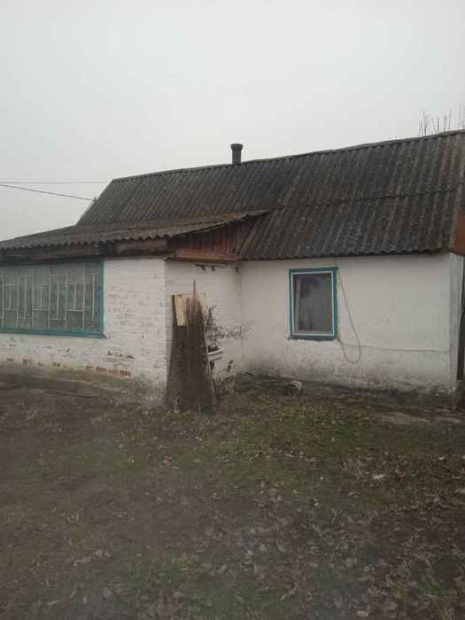 продається дім Нова Борова