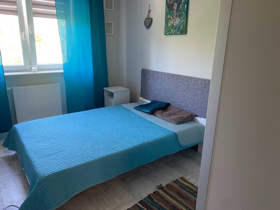 Przytulne mieszkanie do wynajęcia od grudnia!