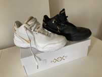 Nike ZM Lebron NXXT Gen AMPD