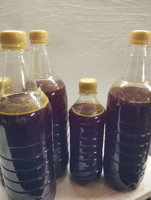 Гарбузова олія насіння гарбуза