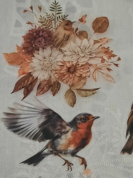 15 stickers pássaros selvagens, autocolantes scrapbooking.