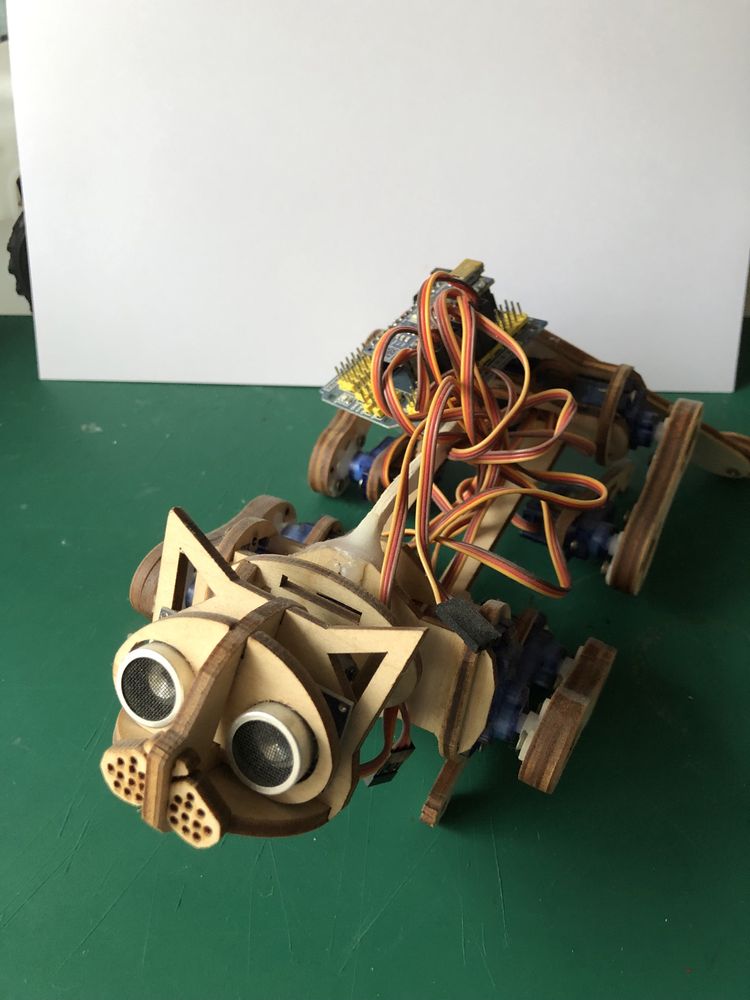 Robot Arduino Cat