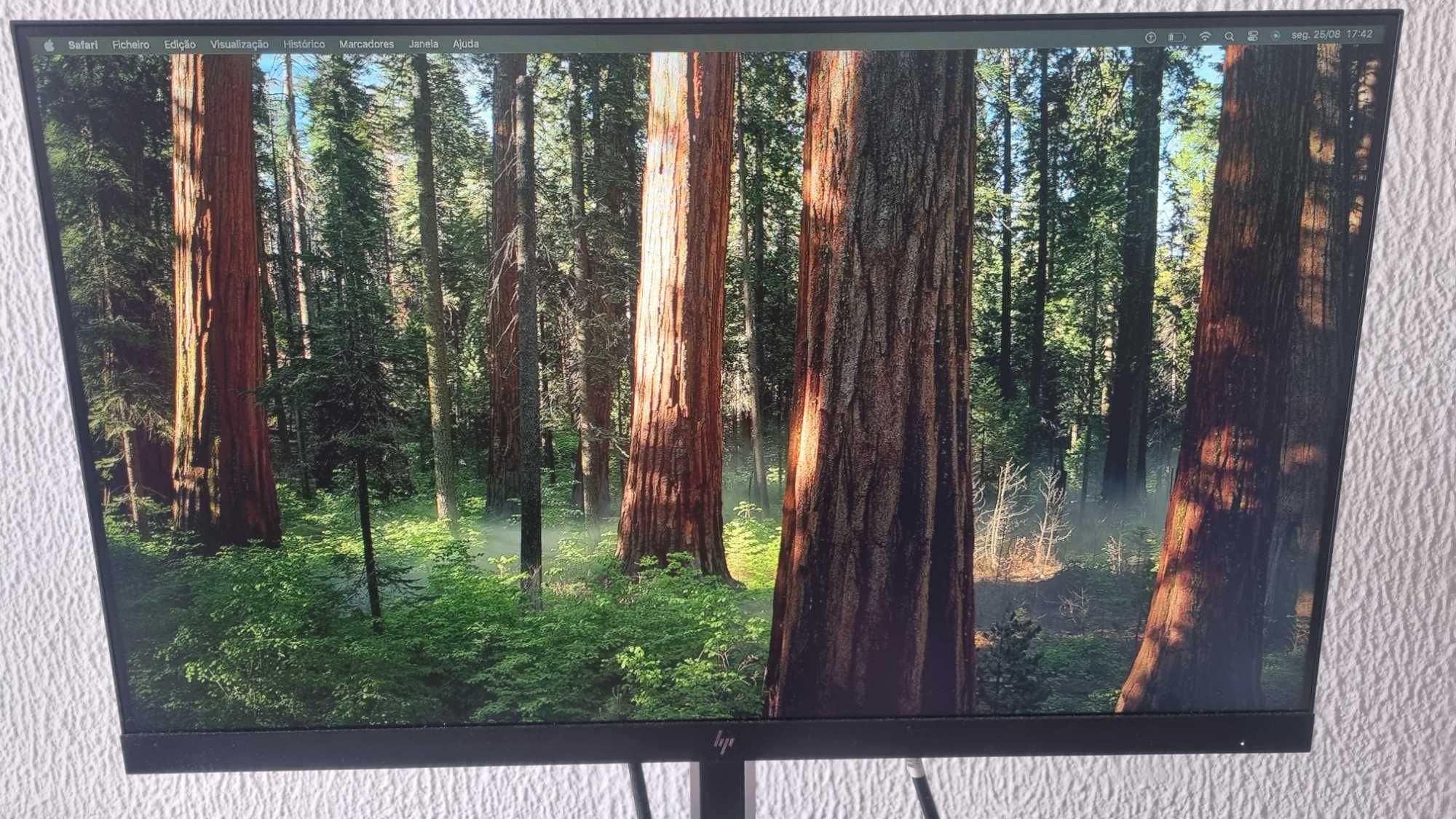 Monitor hp fhd 24 pol