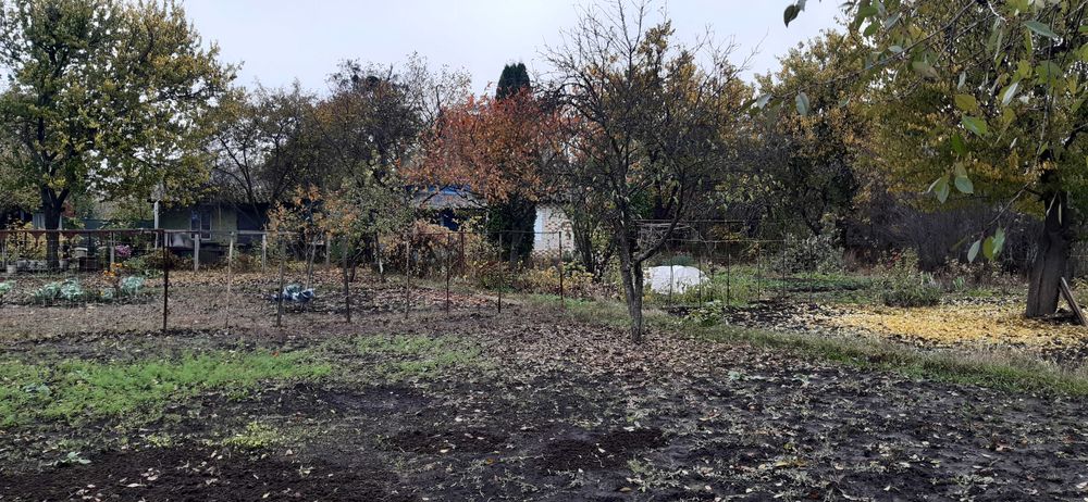 Дача, Хіммістечко