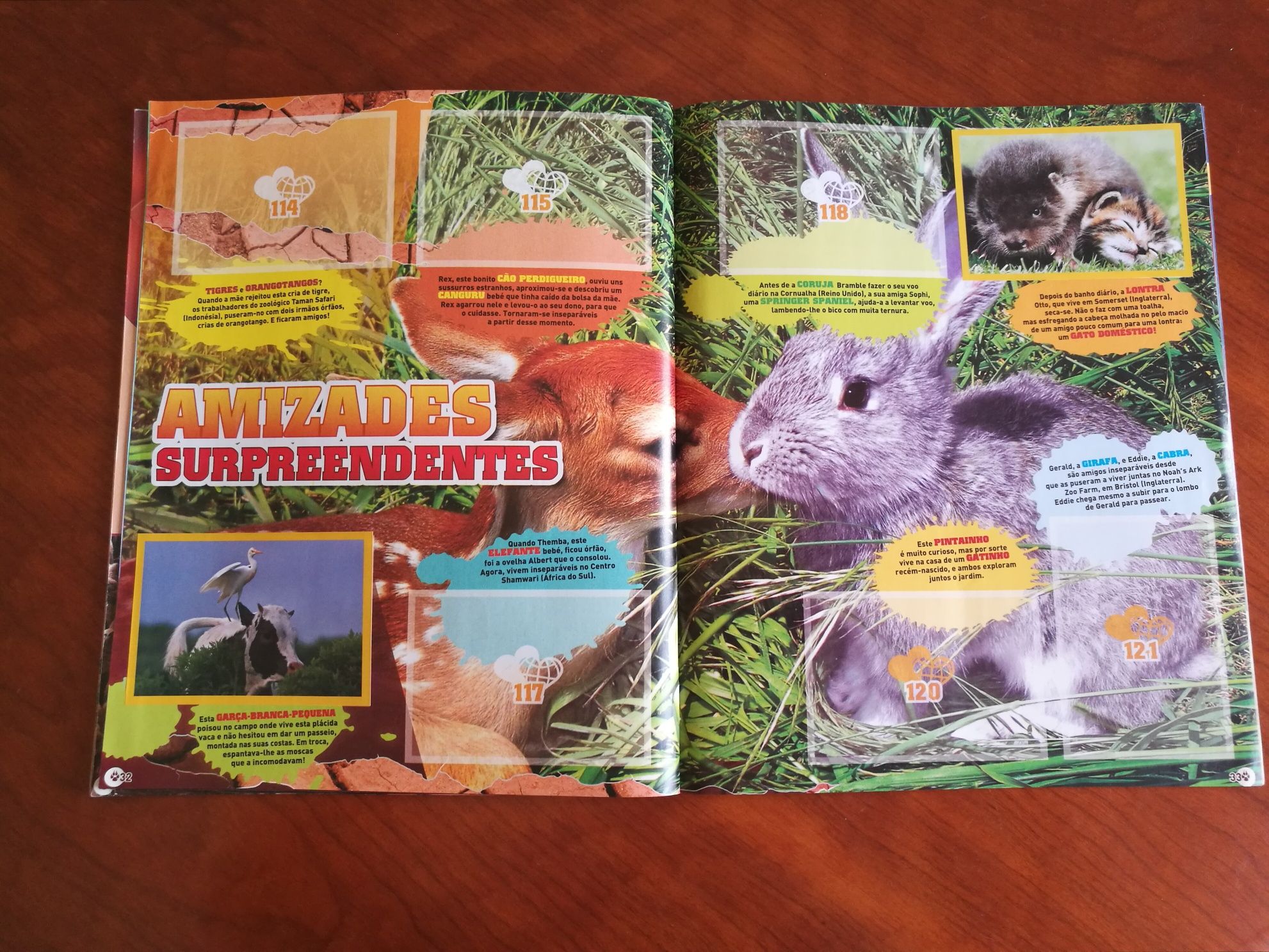 Caderneta Cromos National Geographic - O grande álbum dos exploradores