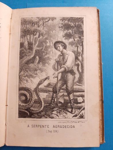 Guerra Junqueiro: Contos para a Infância 1881 Ilustrado e muito raro