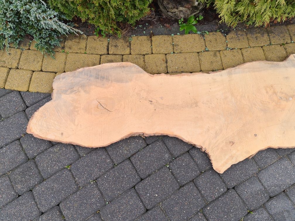 Blat z surowego drewna. Duży plaster drewna.