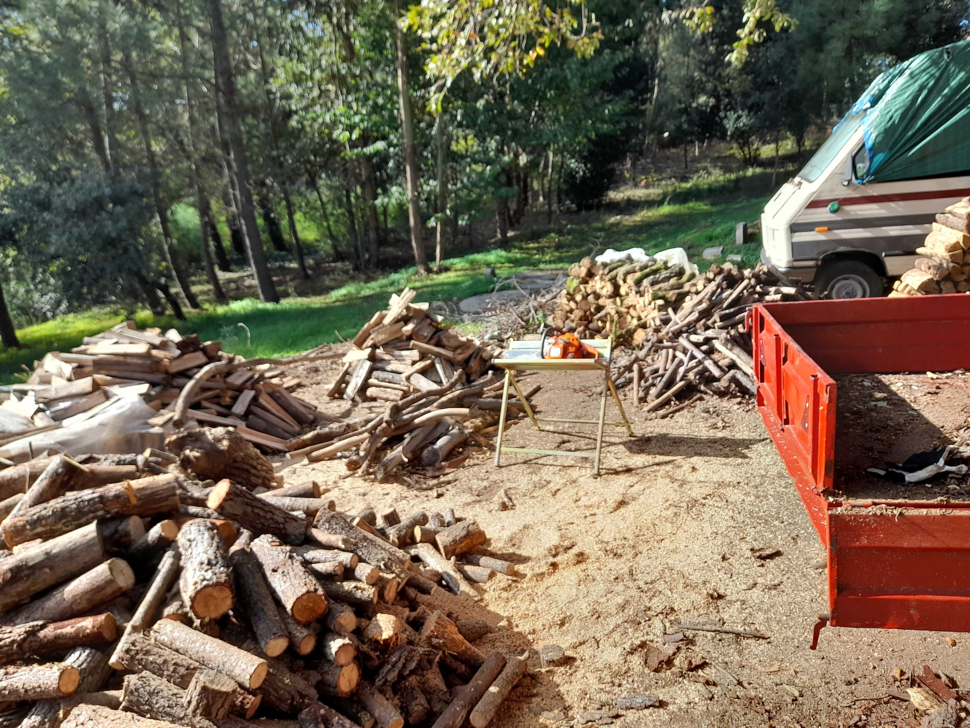 Firewood ready to sell cracked. Lenha pronta para vender rachada.