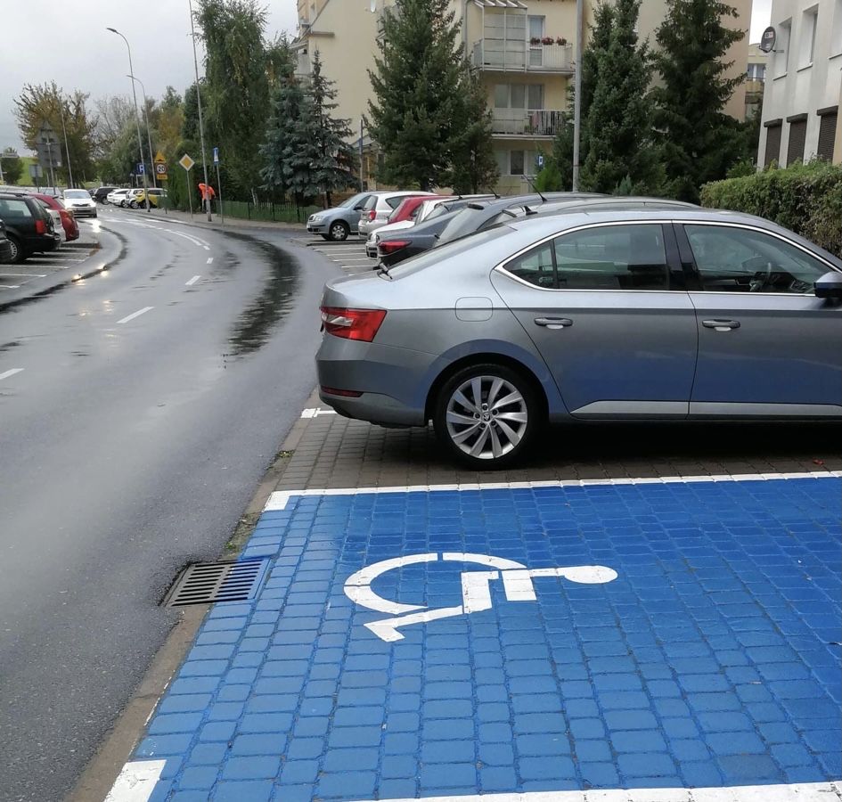 Oznakowanie pionowe,poziome, urządzenia infr.miejskiej - usługi BDT