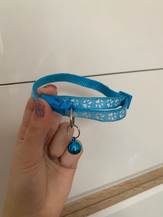 Ошейник для животных