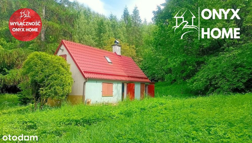 Domek w środku lasu, Ostrzyce Rokitki