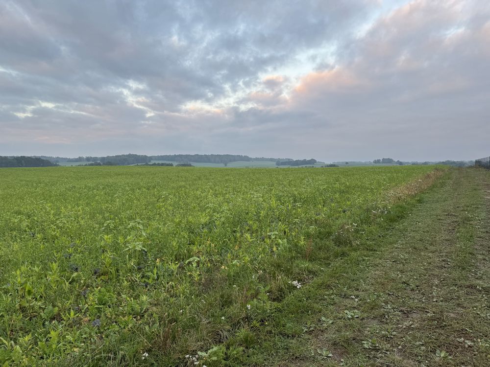 Dzialka rolno - budowlana we wsi Sobota Lwowek Slaski  30 arow