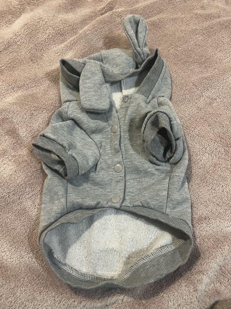 Bluza Activ Pet, ubranko dla malego pieska