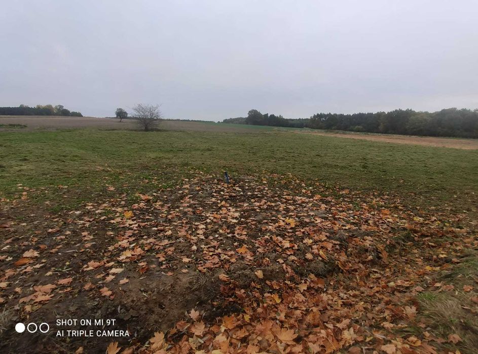 Działka budowlana Węgrzce gmina Wińsko