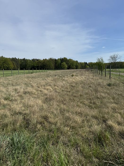 Atrakcyjna działka BOROWSKIE GZIKI z możliwością budowy domu