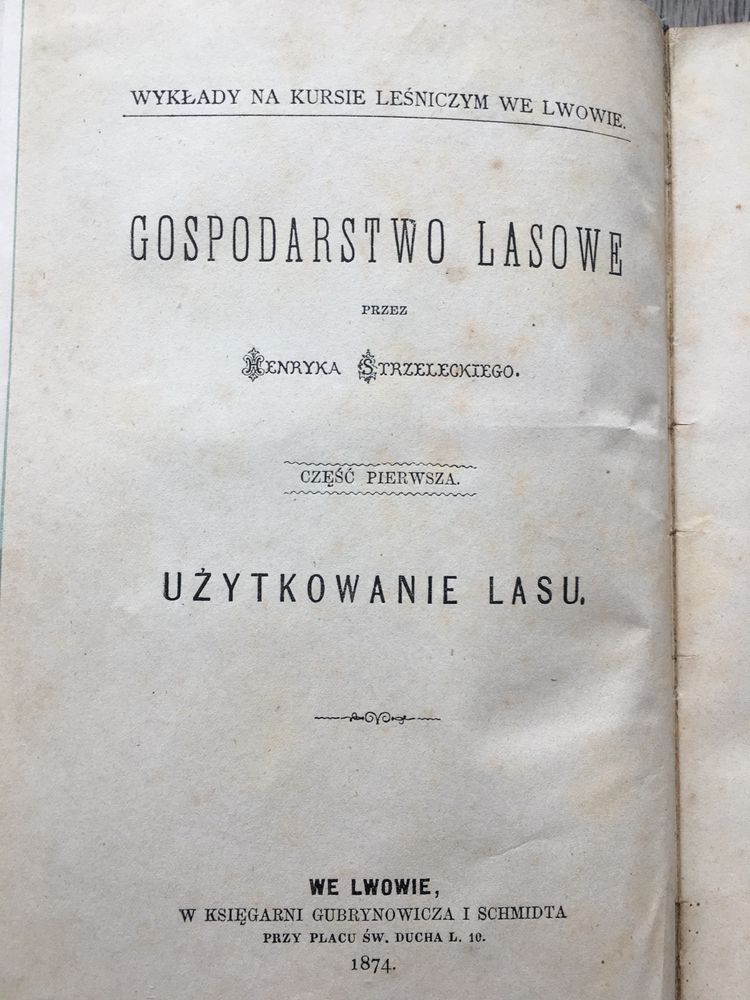 Cięcie użytkowanie lasu Strzelecki Lwów 1874 leśnictwo