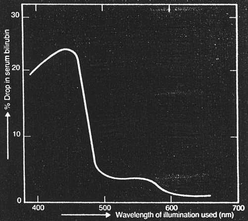 Philips na bilirubinę żóltaczkę dzieci i dorosłych Fototerapia