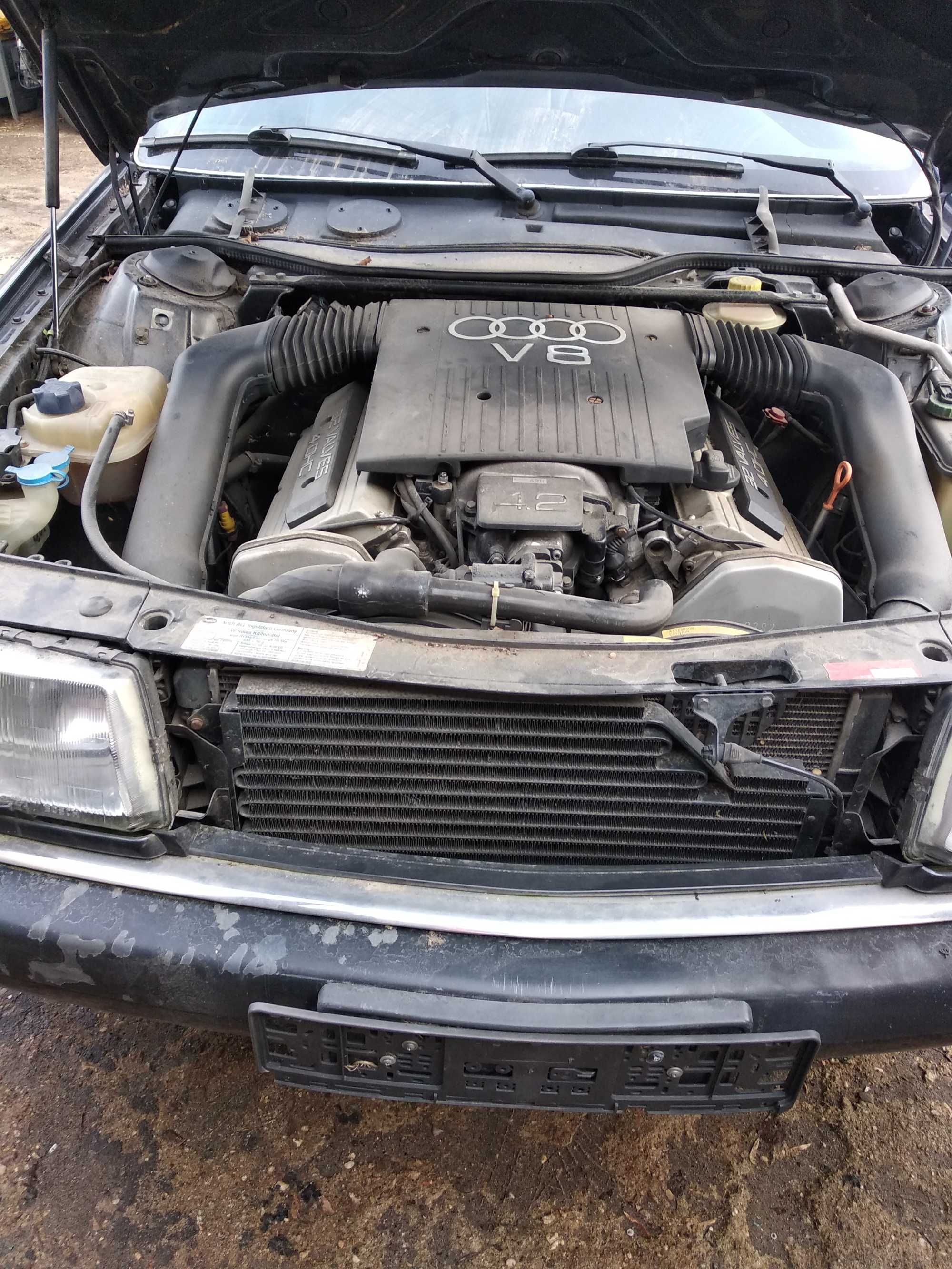 AUDI V8 D11 Piękna!!!