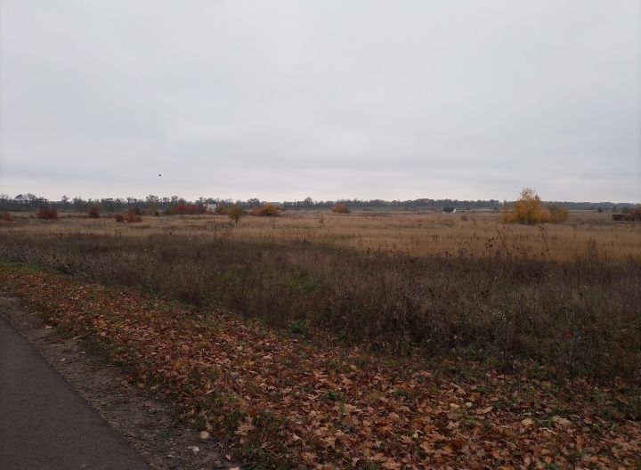 Земельна ділянка 15 соток в с. Руська Поляна вул Різдвяна,3