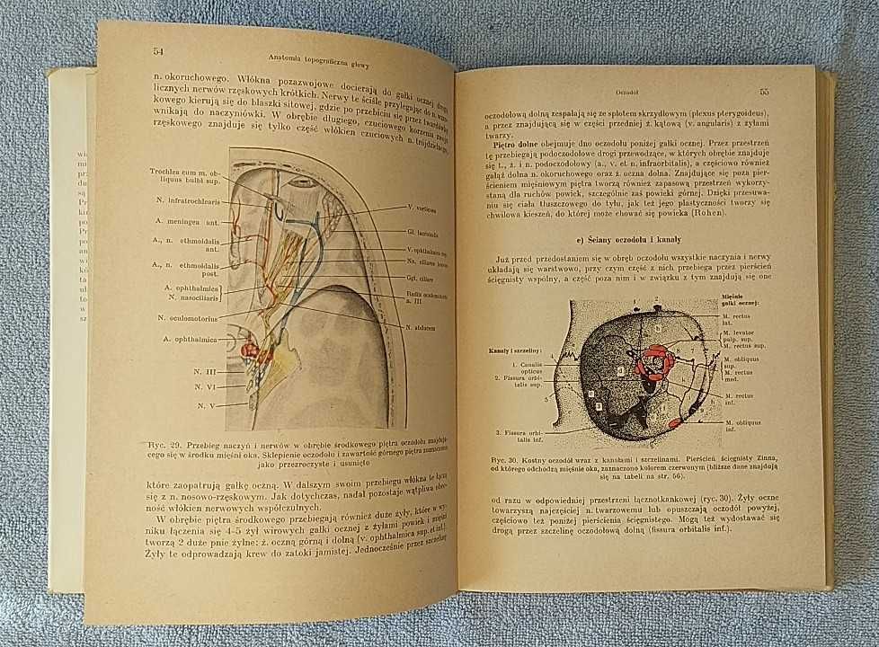 Anatomia topograficzna Johannes W. Rohen