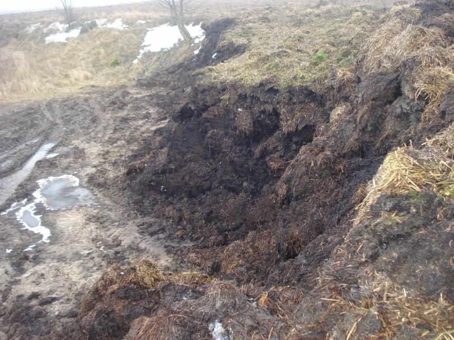 Nawóz ekologiczny obornik bydlęcy w workach dostawa i rozładunek