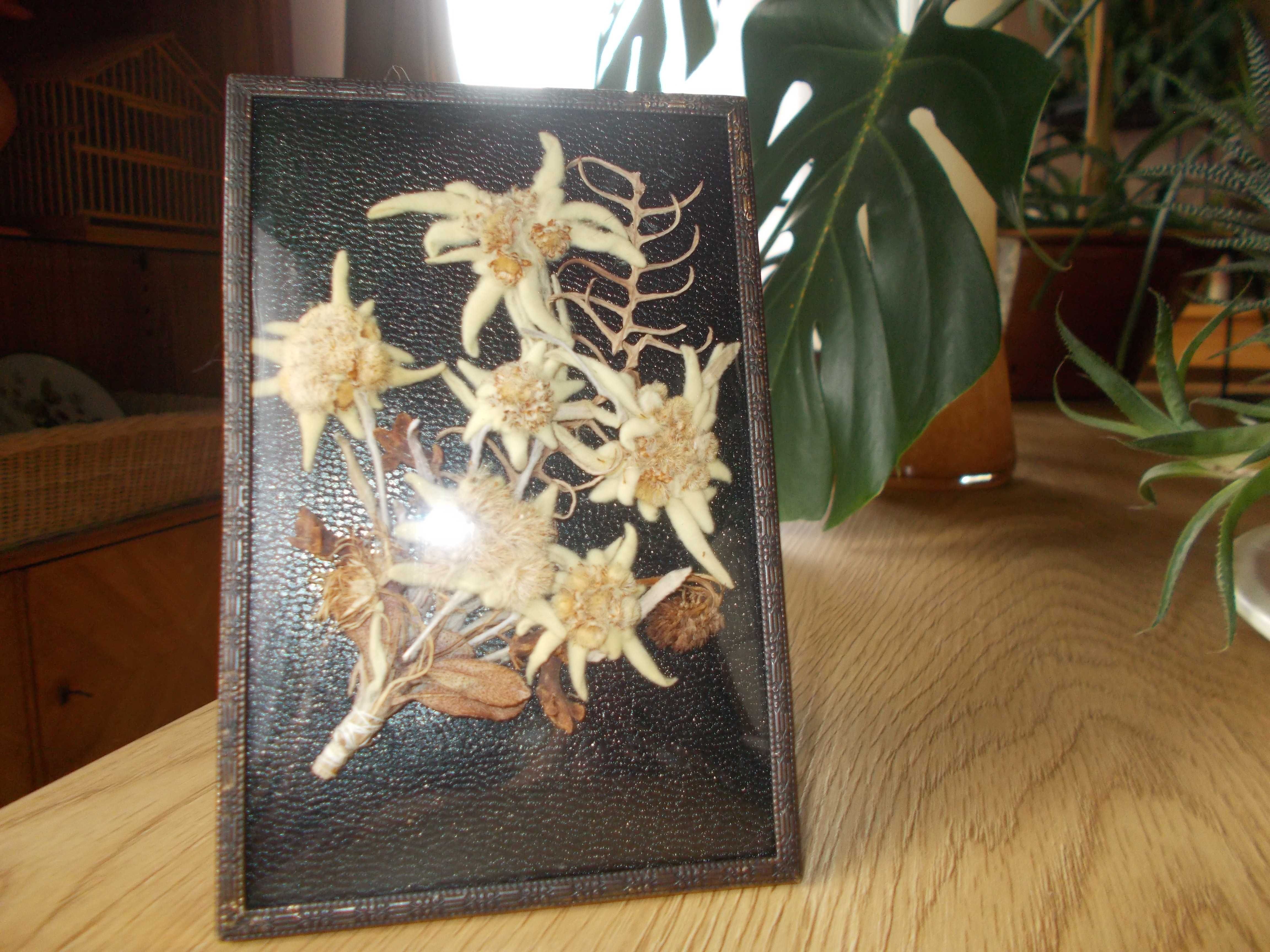 Starocie - kompozycja roślinna w mosiężnej ramce za wypukłym szkłem