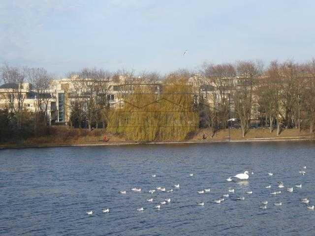 Dom Szczęśliwice 410m, 10 pok, garaż
