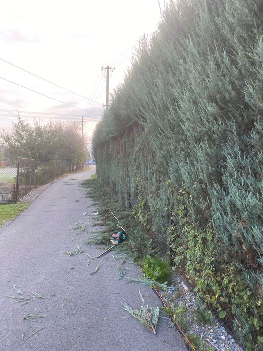 Koszenie działek, wycinka drzew, zarośli, prace porzadkowe itp.