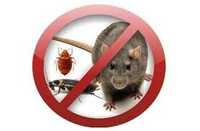 Знищення комах(таргани, клопи, блохи) та гризунів(миші, щури) та ін.