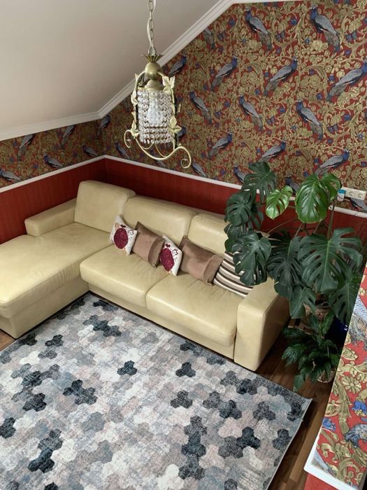 Продаж будинку Старі Петрівці