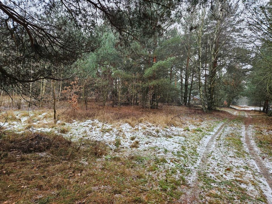 Działka z warunkami zabudowy - 50 km od Warszawy