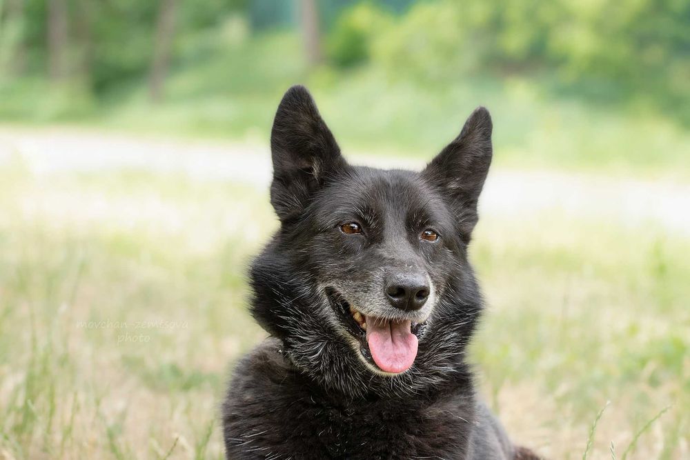 Зара шукає родину