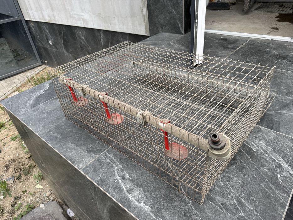 Клітки для перепелів, 75*47см, на 30 перепелів