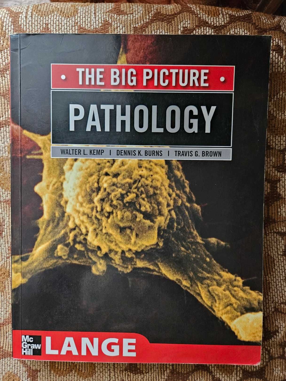 Pathology - Mange j.angielski