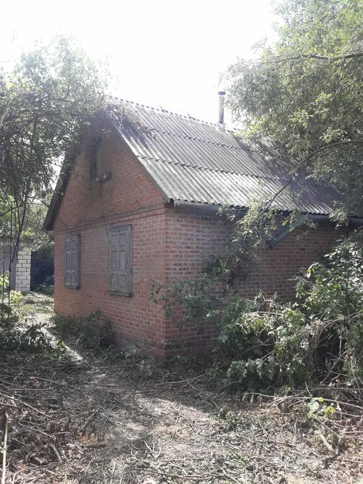 Продам дом в Котелевському районі
