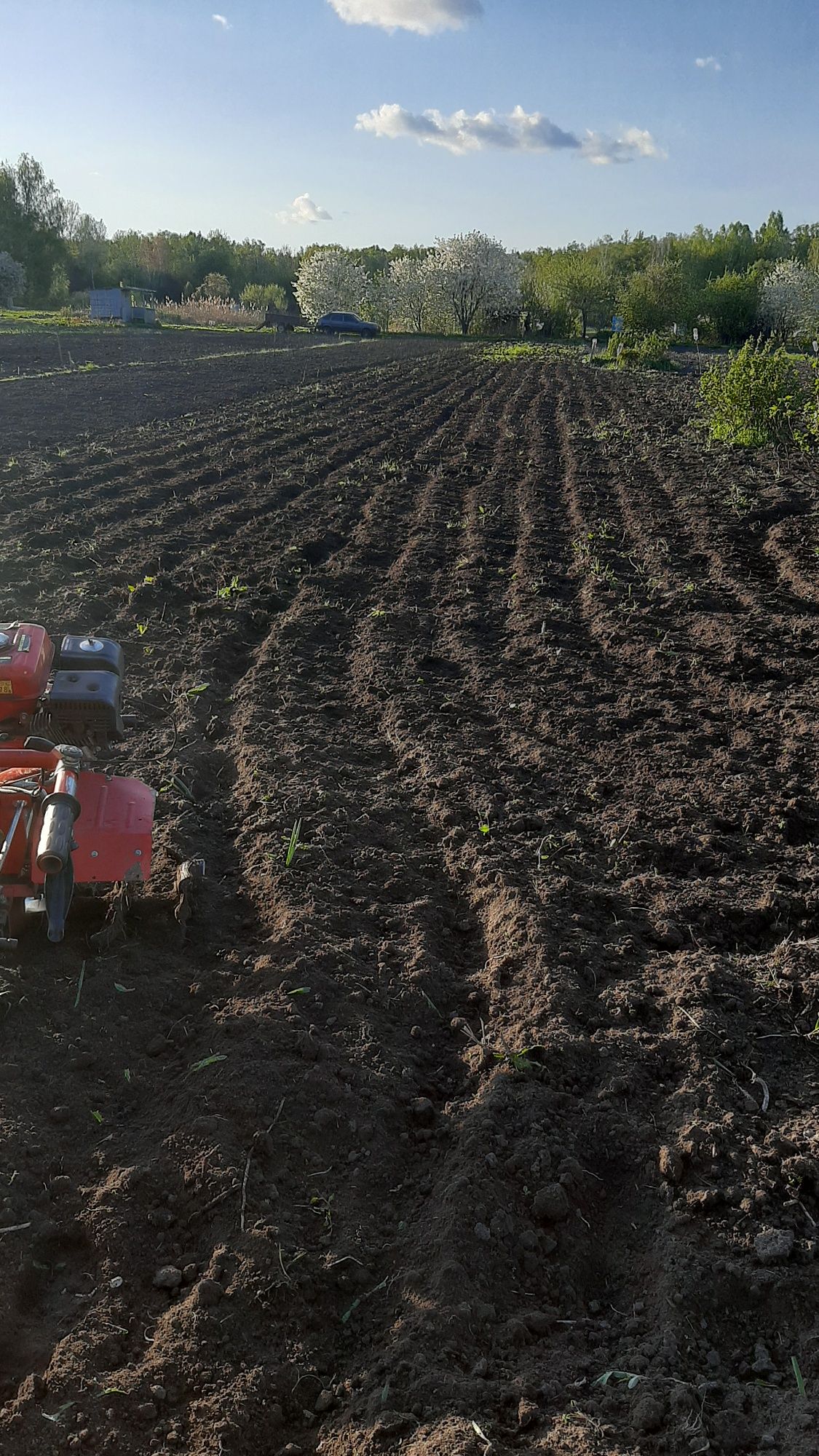 Продам дві земельні ділянки