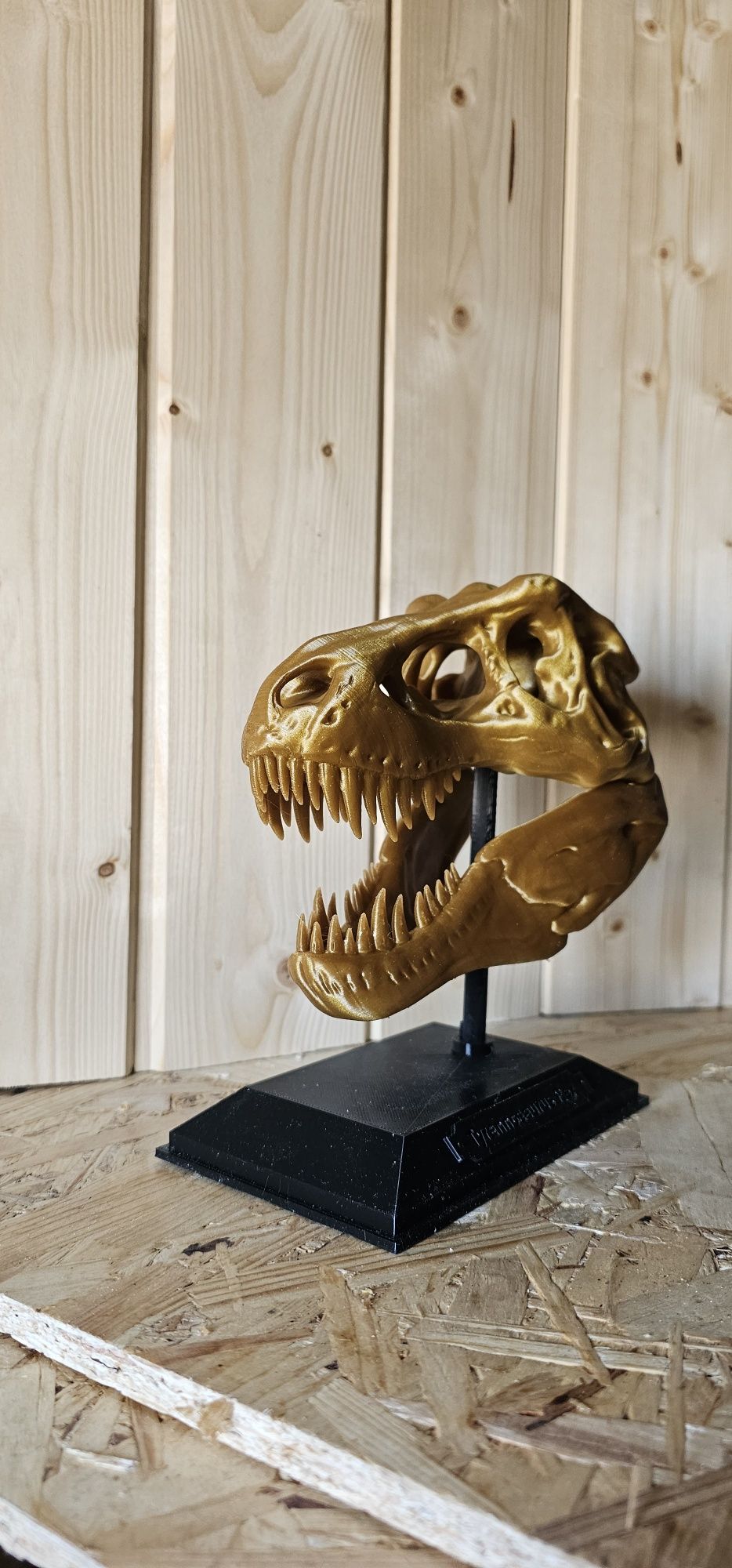 T rex skull impressa em 3d