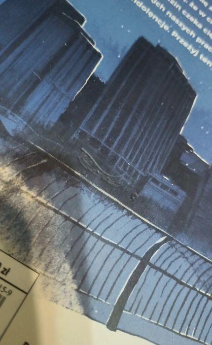 ,,Nasz ostatni dzień" Adam Silvera