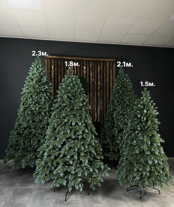 Ялинка лита «Канадська»