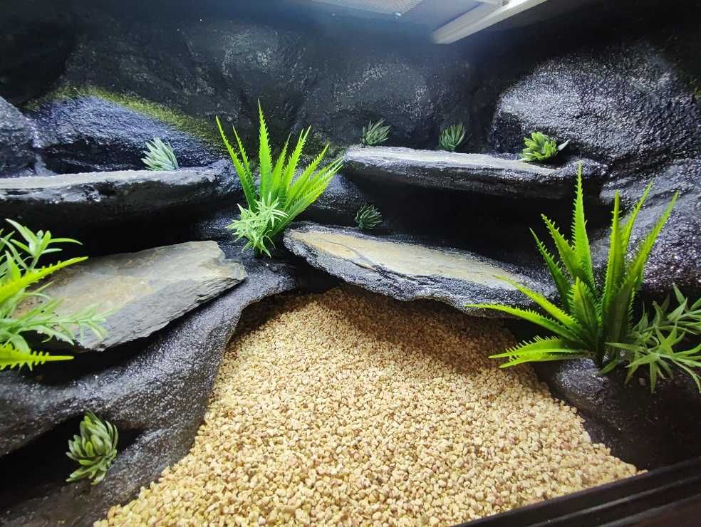 Terrarium pustynne nr627 60/40/40 dla gekona lamparciego NA ZAMÓWIENIE