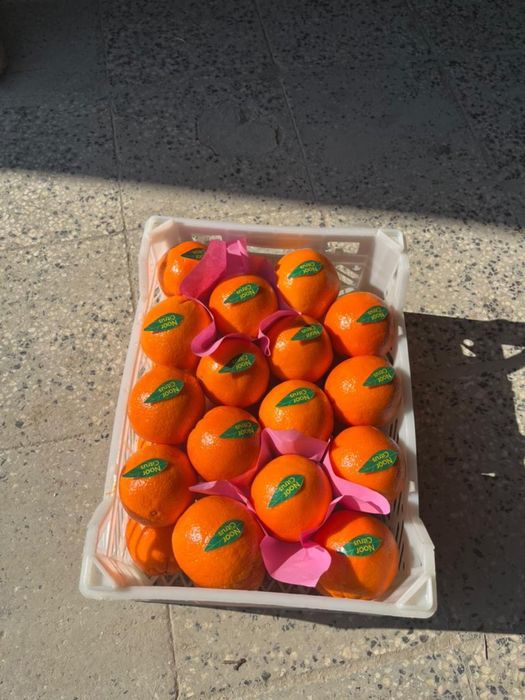 Продам мандарин, гранат, апельсин, виноград оптом