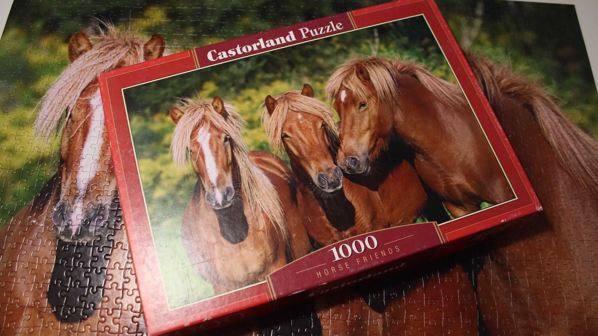 puzzle 1000 el Castorland konie - jeden brak