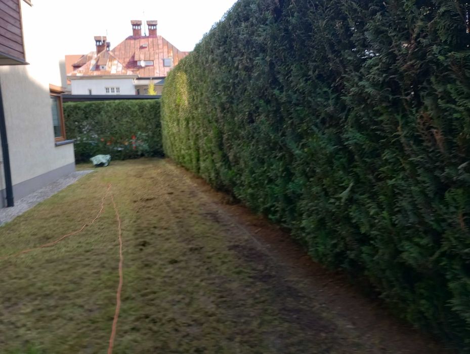 Koszenie, przycinanie tuji, karczowanie