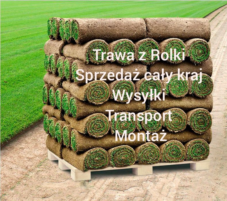 Trawa z Rolki sprzedaż montaż transport szczecinek wysyłki