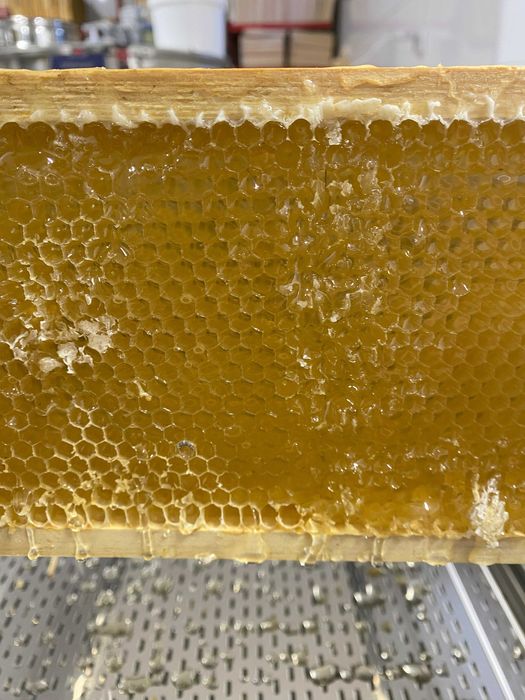 Miód Gryczany z własnej pasieki 1,2 kg